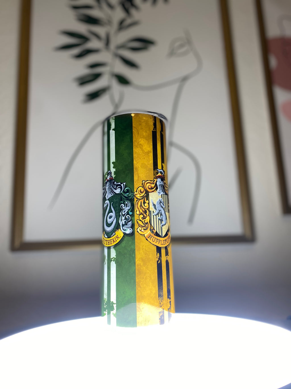 Wizard House Inspired Skinny Tumbler — Brave & Loyal Colors — Gift for Book Lovers and Magic Fans
